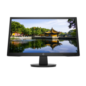 Màn hình máy tính HP V22v 21.5 inch 450M4AA